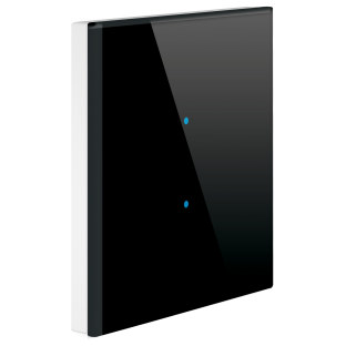 4  Desensiz Siyah Renk